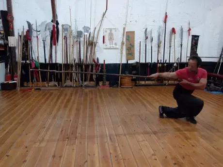 school kung fu lineage image